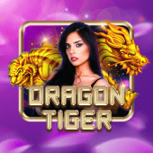 Dragon Tiger ninongaming live casino